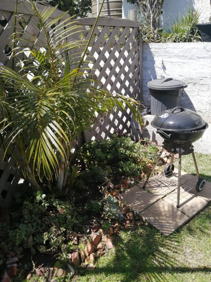 36 Mount Road Guesthouse And Self Catering Port Elizabeth Luaran gambar