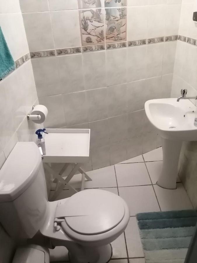 36 Mount Road Guesthouse And Self Catering Port Elizabeth Luaran gambar